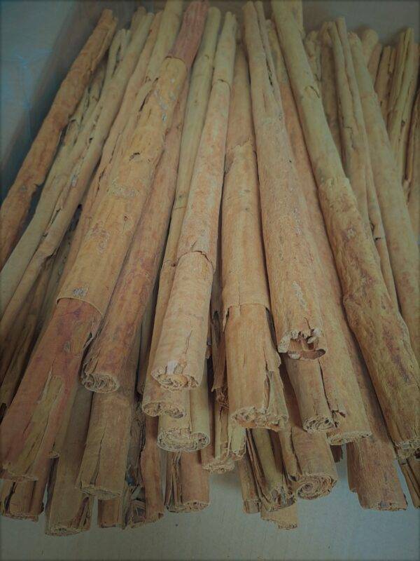 Canela Entera KG