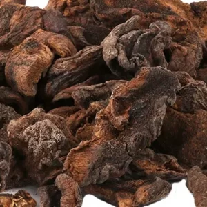 Hongo Seco - Kilo 10