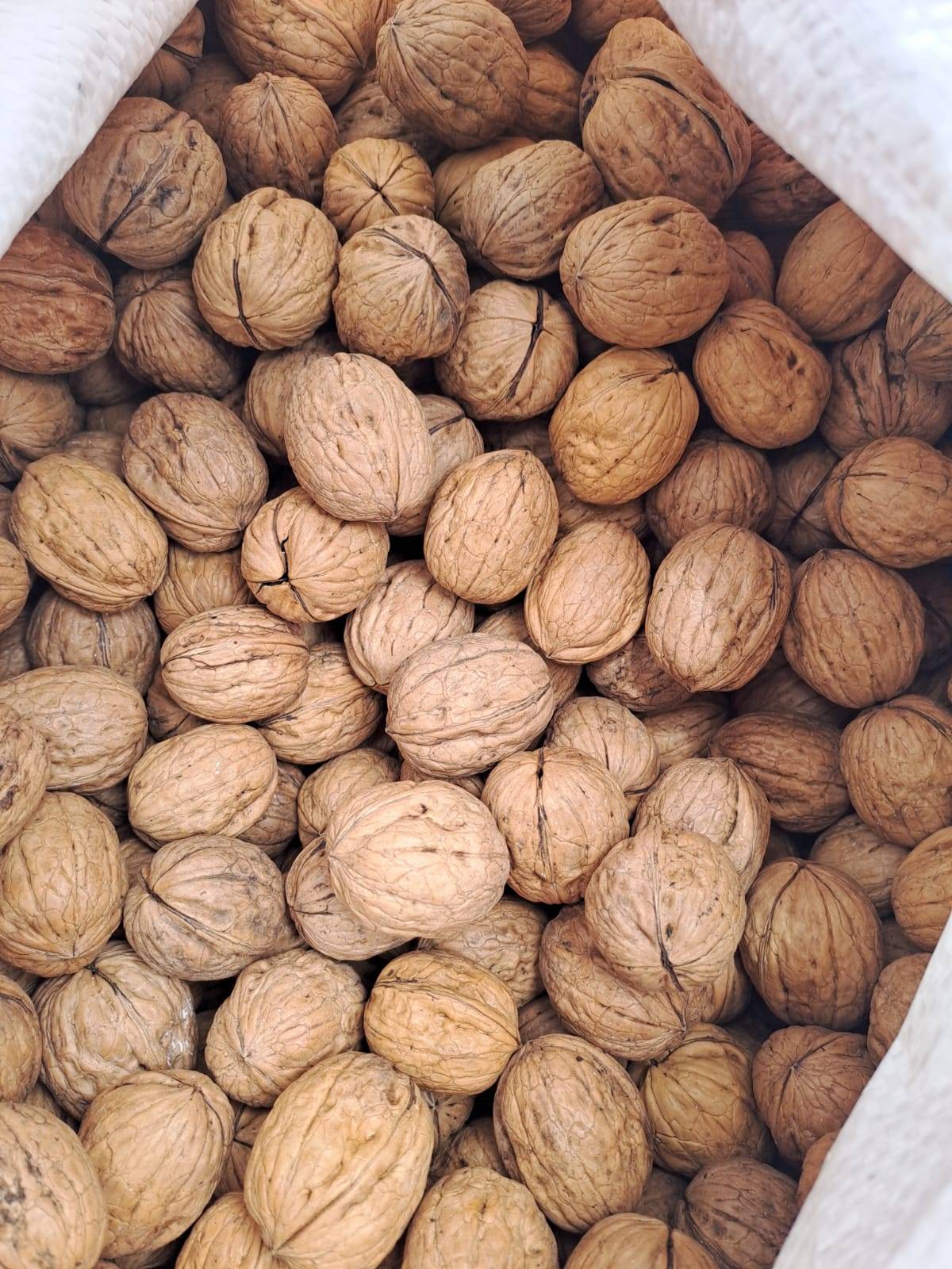 Nuez con Cascara