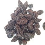 Guindon Chico KG