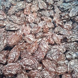 Guindon Chico KG - Kiko 10