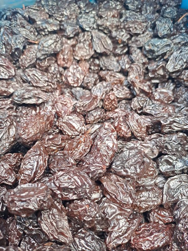 Guindon Chico KG - Imagen 2