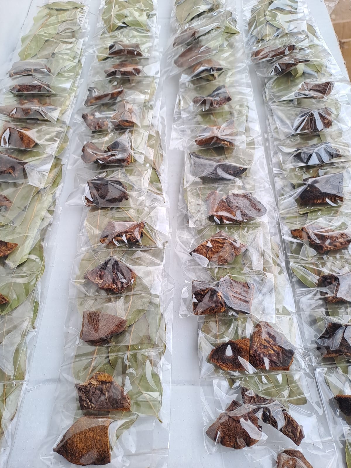 Hongo con Laurel Tira (12 unidades) - Imagen 2