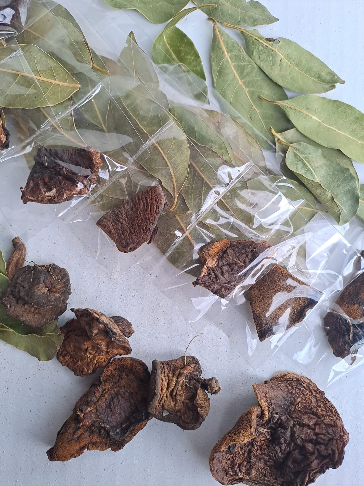 Hongo con Laurel Tira (12 unidades)