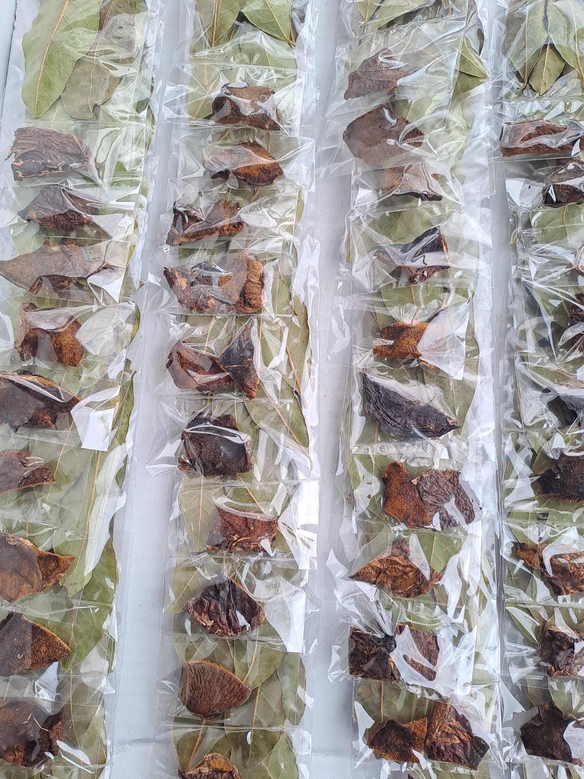 Hongo con Laurel Tira (12 unidades) - Imagen 4