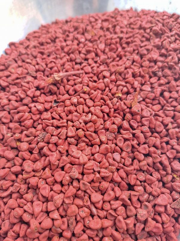 Achiote Entero Kg - Imagen 3