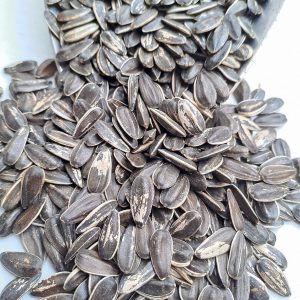 Semilla de Girasol con Cáscara Kg - Kilo 25