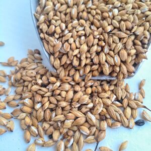 Cebada Tostada Para Refresco - 1 Kilogramo