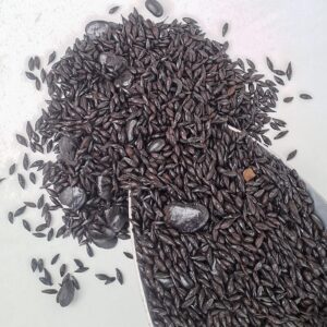 Cebada Tostada Para Café - Kilogramo 50