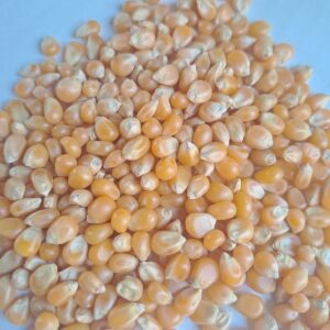 Maiz Pop Corn Sin Marca 22.6 KG.
