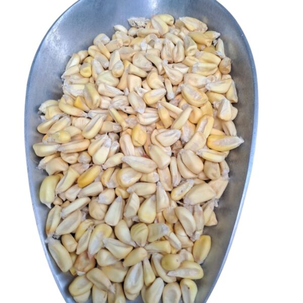 Maíz Blanco Para Cancha