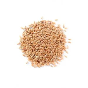 Alpiste a Granel - Saco 45.36 kg