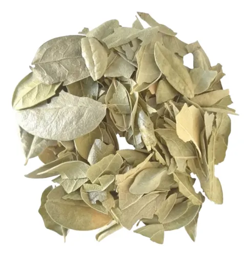 D_NQ_NP_692775-MPE75356871164_032024-O Boldo kg - Imagen 1